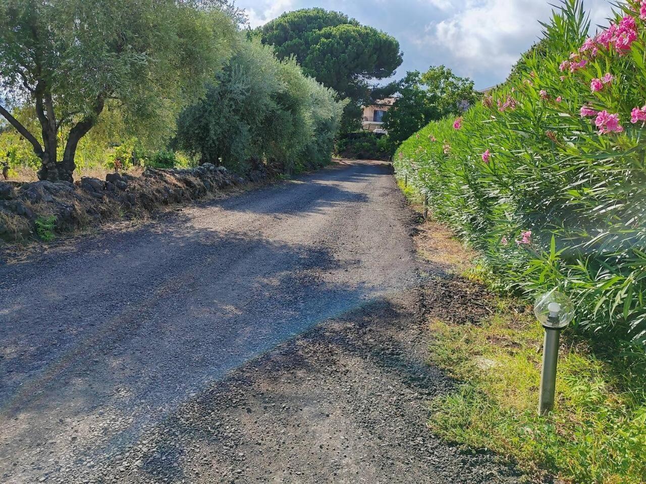 Villa Persea Santa Venerina Dış mekan fotoğraf